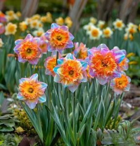 Нарцисс Айвери Дон купить по цене от 3000р. в интернет-магазине «Посадика» с доставкой почтой в в Феодосияе и по всей России – [изображение №1].