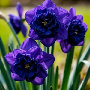 Нарцисс Арт Нуво купить по цене от 378р. в интернет-магазине «Посадика» с доставкой почтой в в Феодосияе и по всей России – [изображение №1].